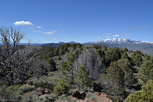 Bald Mountain Wilderness