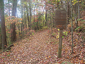 Big Frog Wilderness