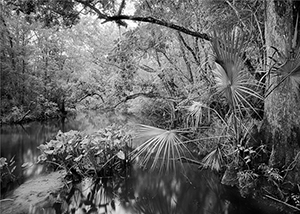 Billies Bay Wilderness