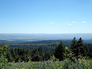 Black Canyon Wilderness