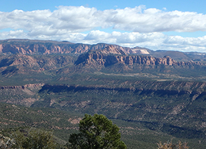 Blackridge Wilderness
