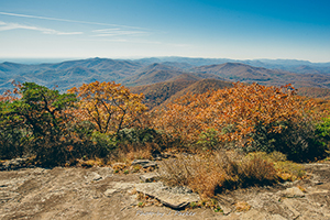 Blood Mountain Wilderness