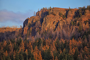 Bridge Creek Wilderness