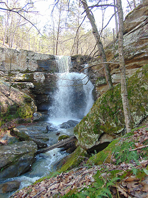Burden Falls Wilderness