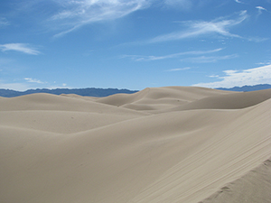 Cadiz Dunes Wilderness