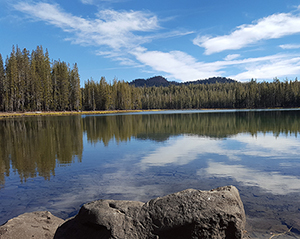 Caribou Wilderness