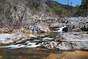 Castle Creek Wilderness