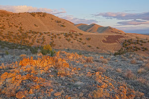 Cedar Mountain Wilderness Area