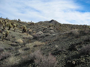 Chemehuevi Mountains Wilderness