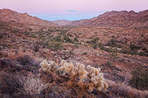 Chuckwalla Mountains Wilderness