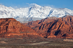 Cottonwood Forest Wilderness