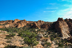 Cottonwood Point Wilderness