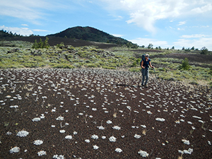 Craters of the Moon National Wilderness Area