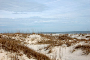 Cumberland Island Wilderness