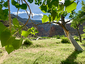 Desolation Canyon Wilderness