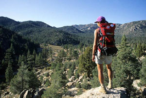 Domeland Wilderness