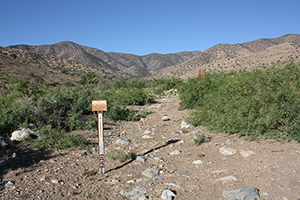 Dos Cabezas Mountains Wilderness