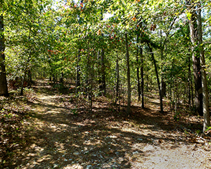 Dry Creek Wilderness