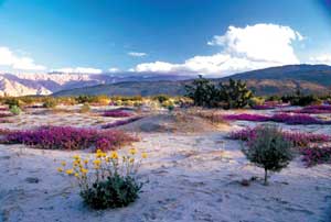 Fish Creek Mountains Wilderness