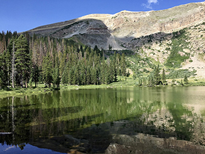 Fossil Ridge Wilderness
