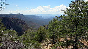 Fossil Springs Wilderness