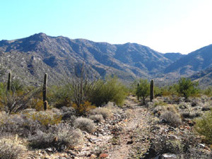 Harquahala Mountains Wilderness
