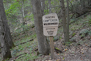 Hunting Camp Creek Wilderness