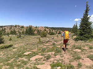 Huston Park Wilderness