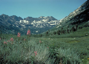 Jarbidge Wilderness