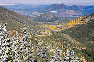 Kachina Peaks Wilderness