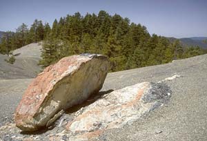Kalmiopsis Wilderness