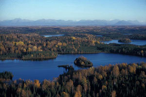 Kenai Wilderness