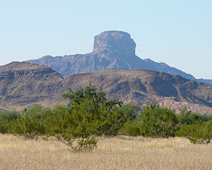 Kofa Wilderness