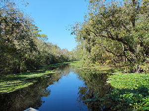 Lake Woodruff Wilderness