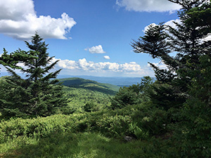 Lewis Fork Wilderness