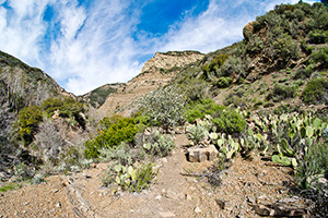 Matilija Wilderness
