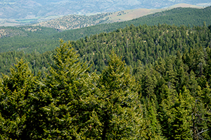 Monument Rock Wilderness