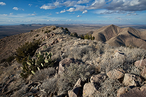 Mount Riley Wilderness