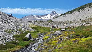 Mt. Shasta Wilderness