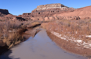Muddy Creek Wilderness