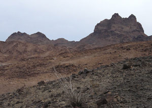 Muggins Mountain Wilderness