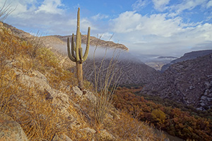 Needle's Eye Wilderness