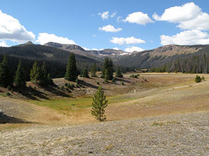 Neota Wilderness