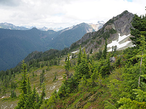 Noisy-Diobsud Wilderness
