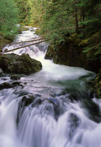 Opal Creek Wilderness
