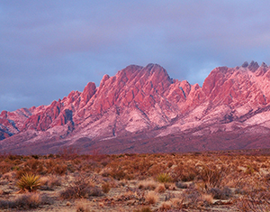 Organ Mountains Wilderness