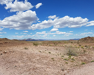 Palo Verde Mountains Wilderness