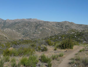 Pine Creek Wilderness