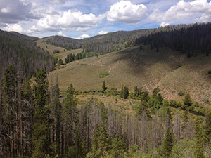 Platte River Wilderness