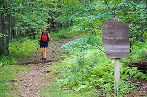 Priest Wilderness